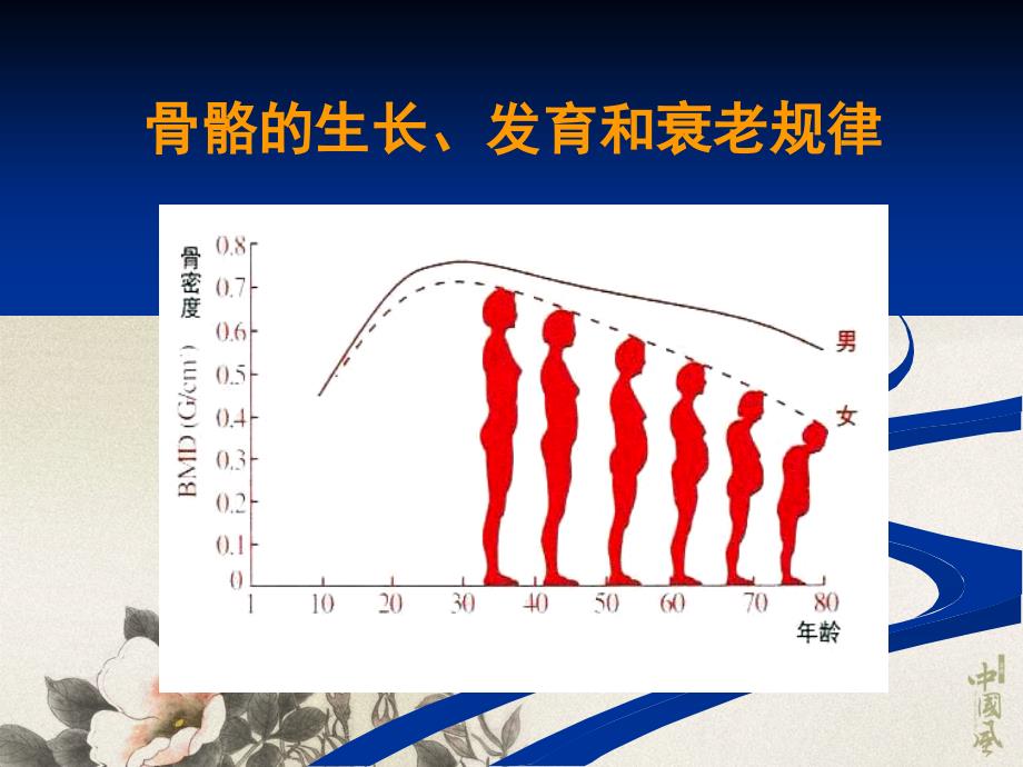 骨质疏松症的危害诊断和治疗南宁外科护理学会讲课_第3页