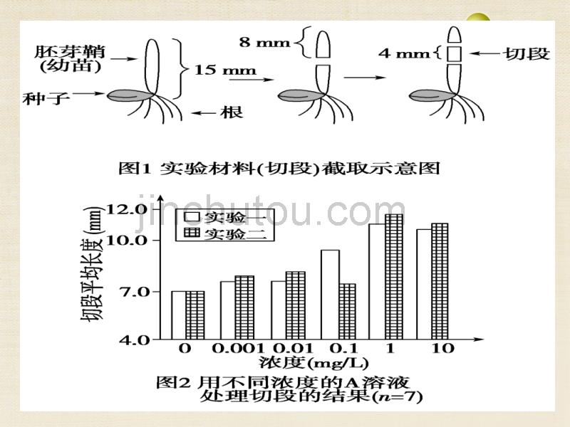 高中生物 模块三《 稳态与环境 》的实验课件 新人教版必修3_第5页