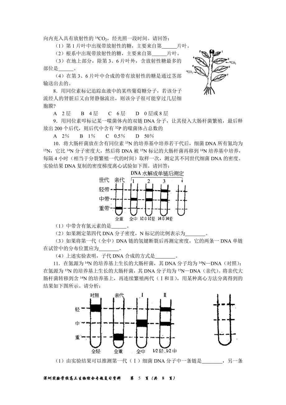 深圳实验学校高三生物综合专题复习资料_第5页