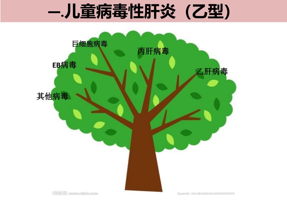 曾慧慧乙肝母婴阻断相关的抗病毒药物诊疗-_第3页