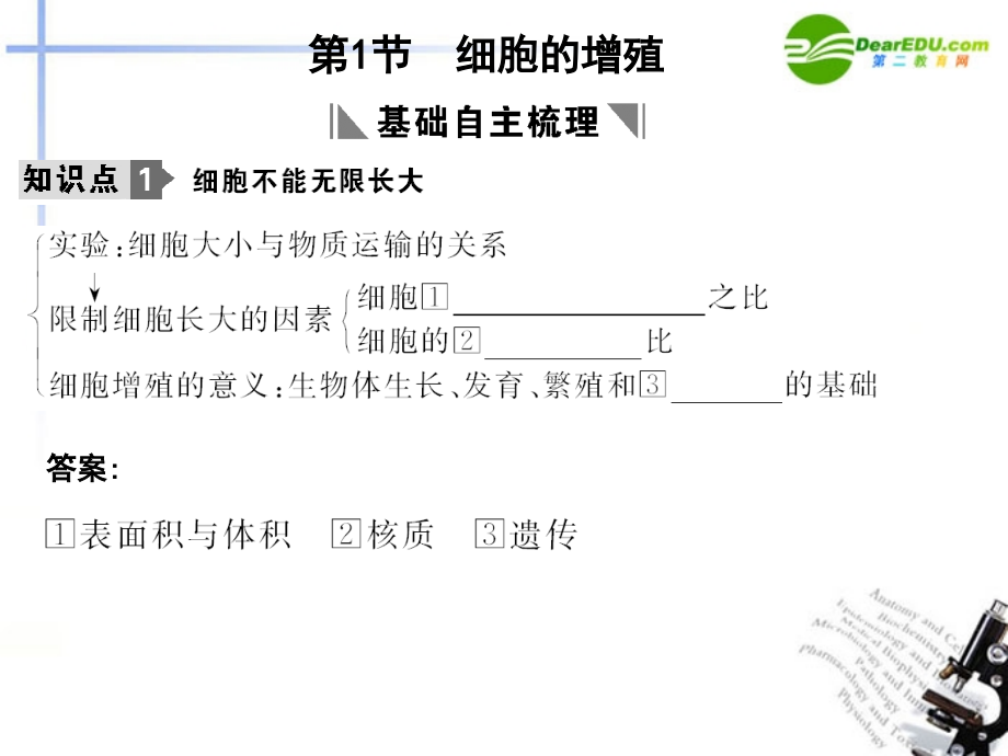 高考生物一轮复习 第6章细胞的生命历程第1节细胞的增殖课件 必修1_第3页