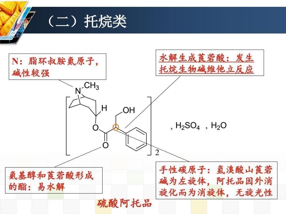 生物碱类药物_第5页