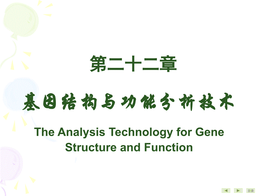 基因结构及功能分析_第2页