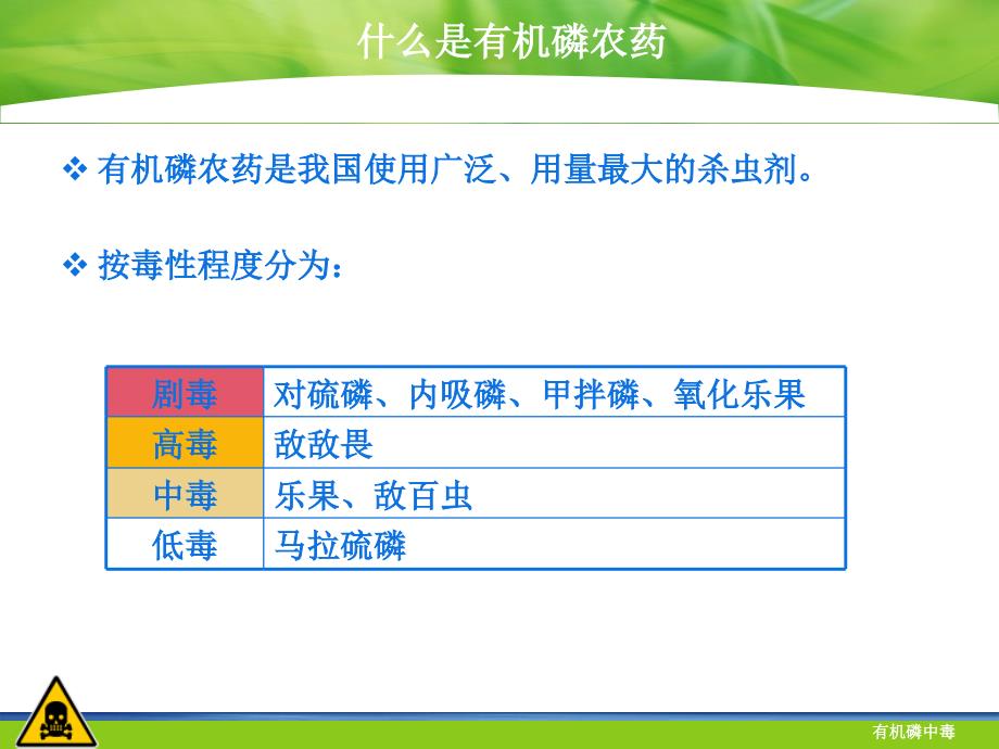有机磷农药中毒终极版_第4页