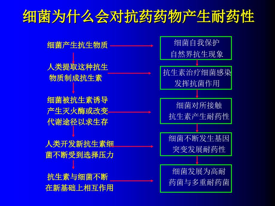 细菌耐药监测与抗菌药物的合理使用_第3页