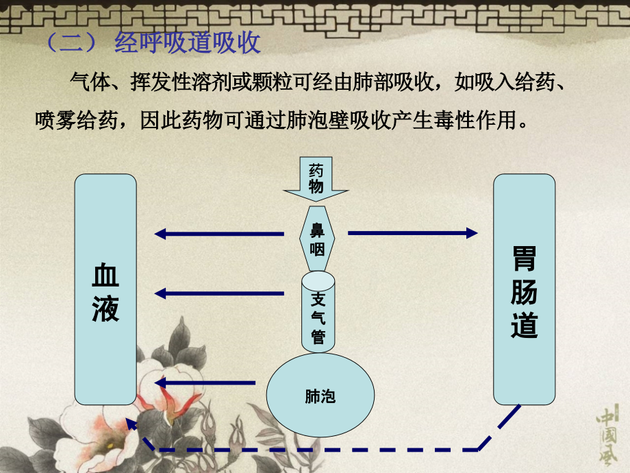 药物的毒物代谢动力学_第4页