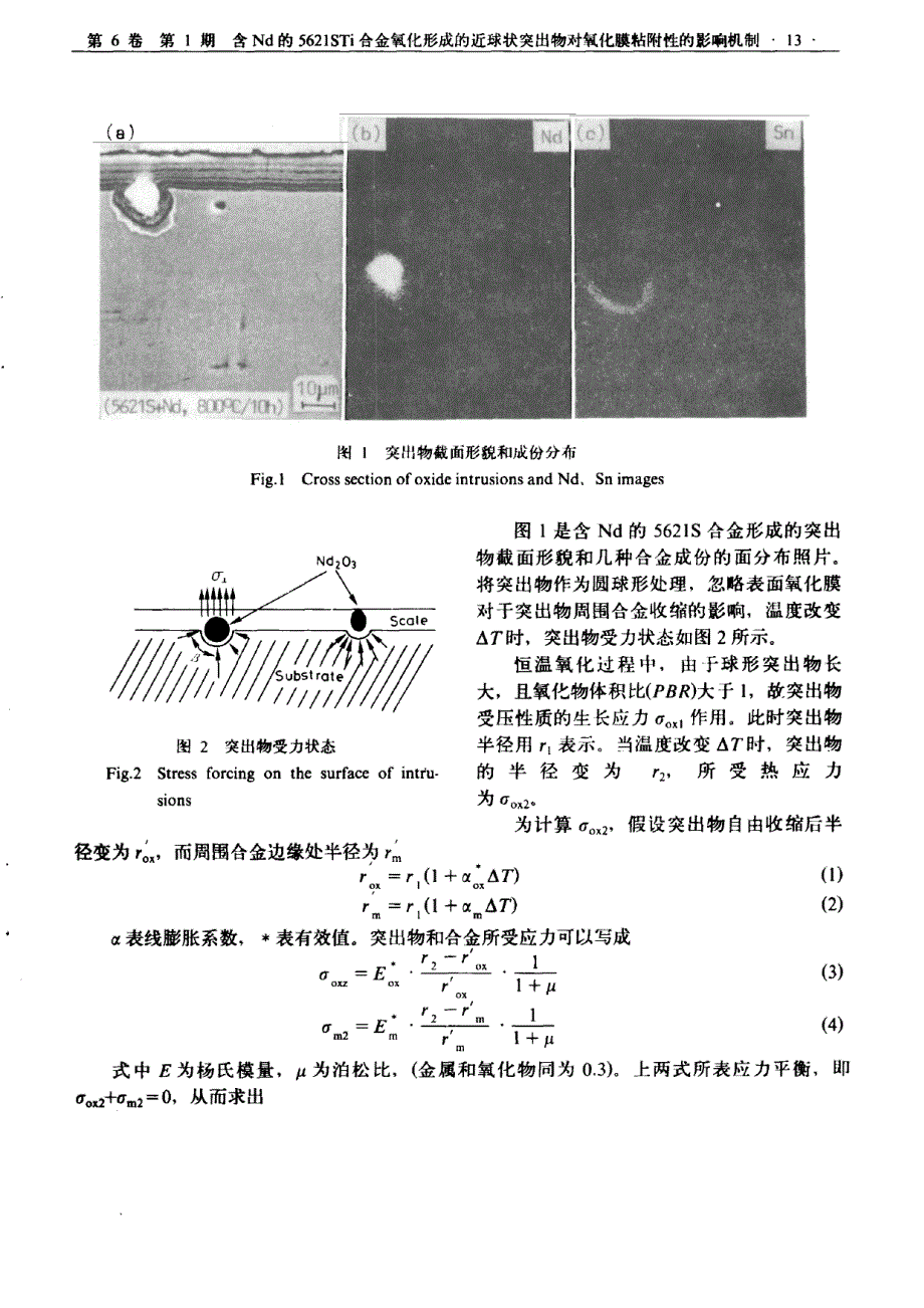 含nd的5621sti合金氧化形成的近球状突出物对氧化膜粘附性的影响机制_第2页