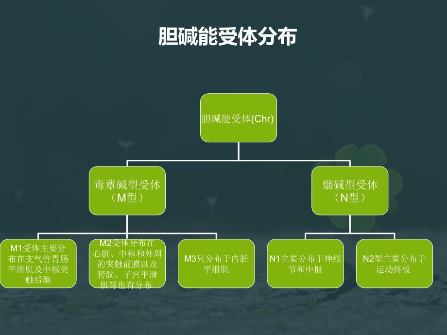 有机磷中毒药物治疗_第3页