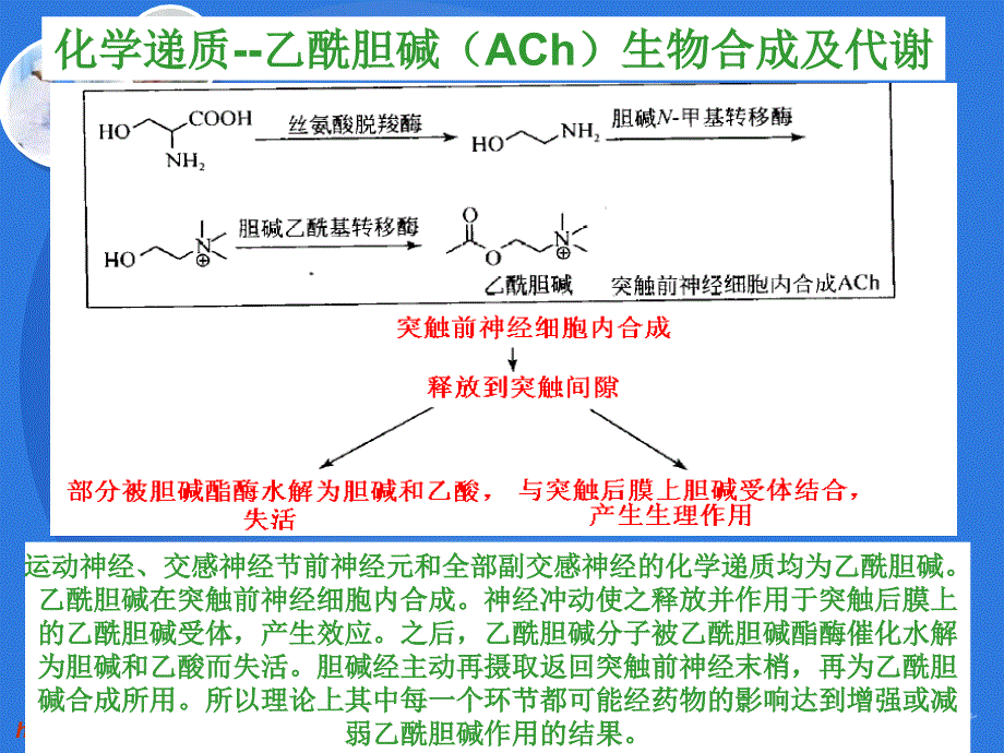 药物化学3-13-2拟胆碱药和抗胆碱药_第3页