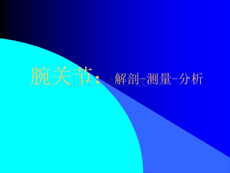 骨-创伤腕关节-解剖测量分析_第1页