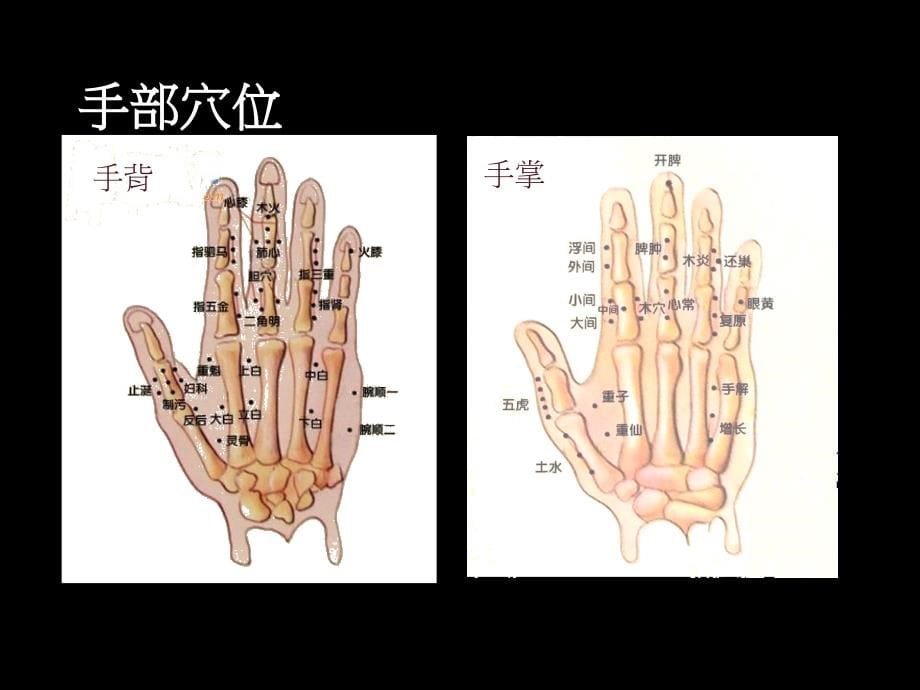 董式上课内容-穴位与治疗1_第5页