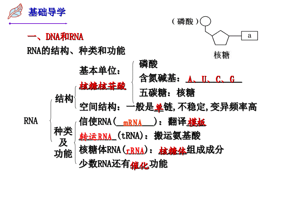 遗传的物质基础时基因指导蛋白质的合成及对性状的控制_第2页