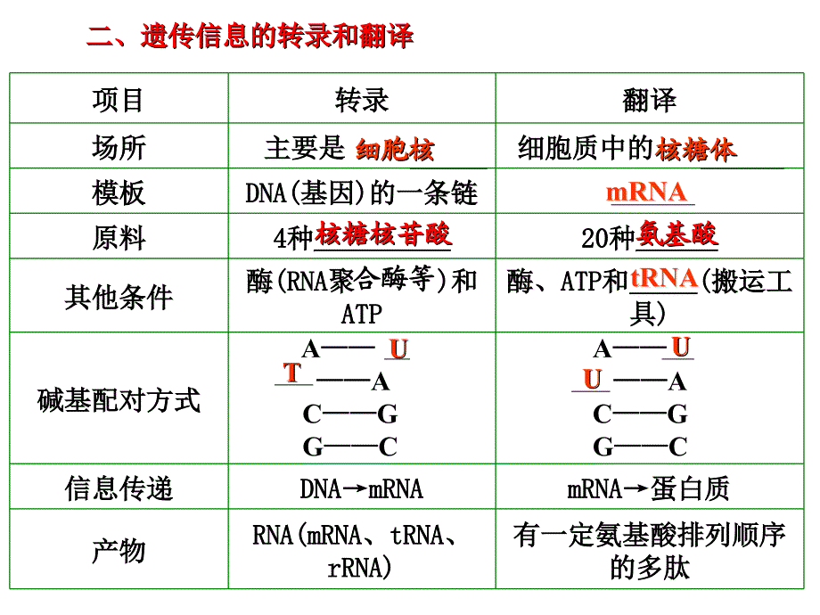 遗传的物质基础时基因指导蛋白质的合成及对性状的控制_第4页