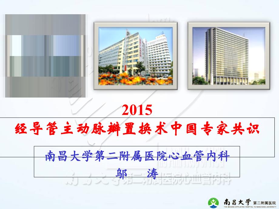 经导管主动脉瓣置换术中国专家共识_第1页