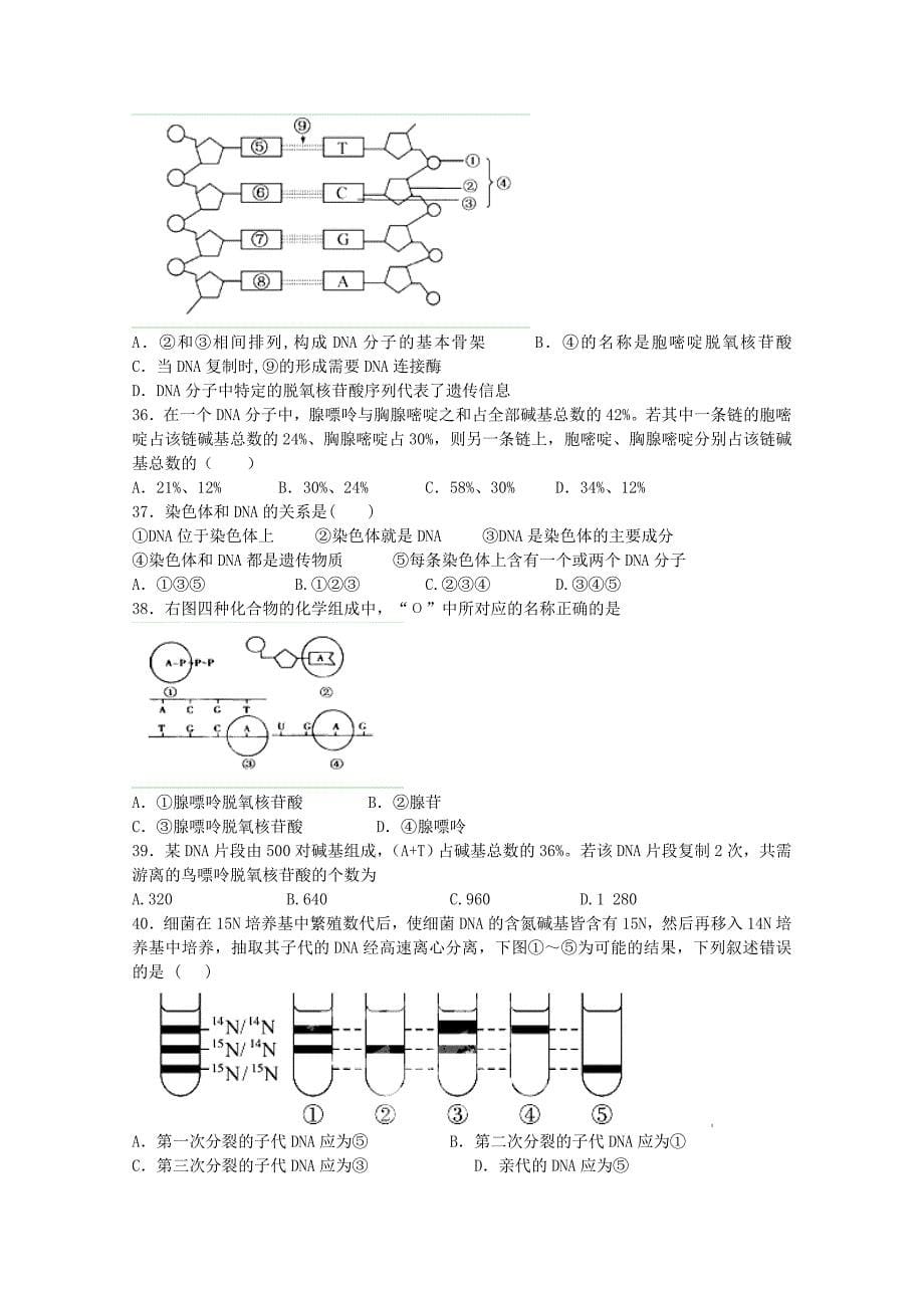 浙江省诸暨市草塔中学2014-2015学年高二生物12月月考试题（普通班）_第5页