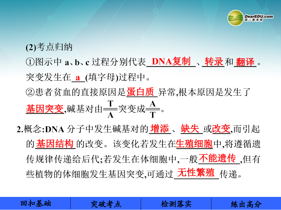 【步步高】（ 广西专用）高考生物一轮复习 第八单元 第40课时 基因突变和基因重组课件_第4页