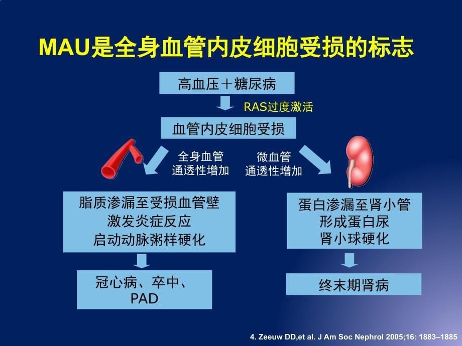 高血压伴糖尿病简化流程_第5页