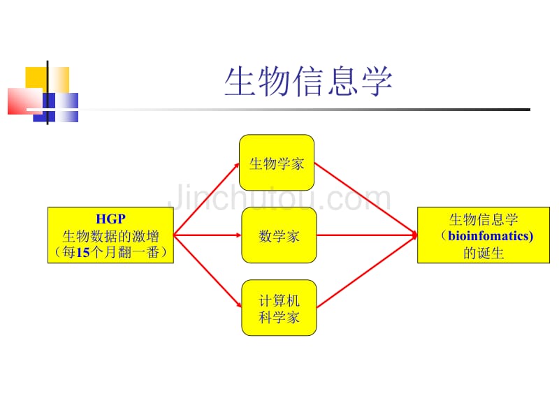 生物信息学及其发展历史_第4页