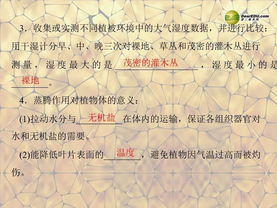 江西省萍乡市第四中学中考生物总复习 第一部分 第三章 生物圈中的绿色植物 第二讲 绿色植物的作用课件 新人教版_第5页