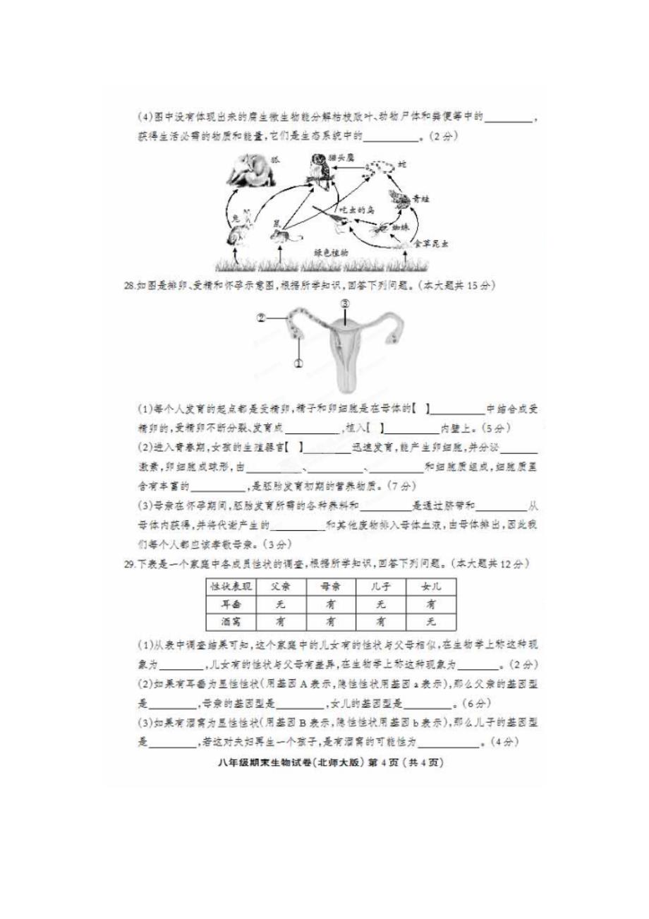 河北省大城县臧屯三中2013-2014学年八年级生物上学期期末考试试题（扫描版） 北师大版_第4页