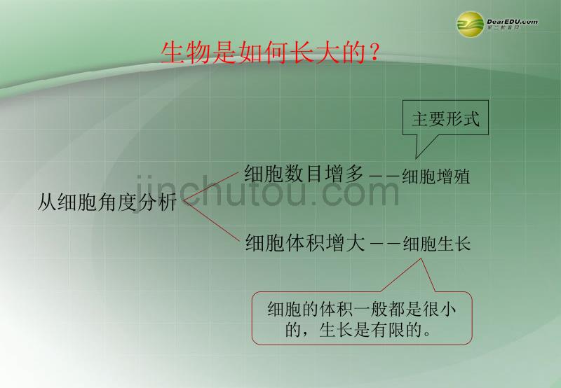 福建省泉州市第十五中学高中生物《第6章 第1节 细胞增殖》课件 新人教版_第5页