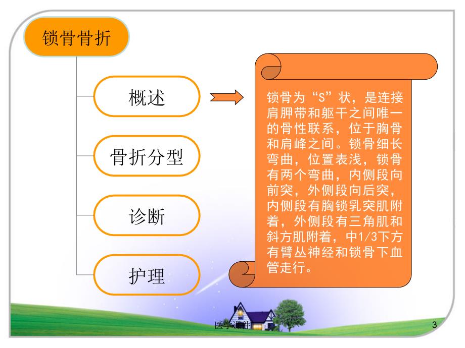 常见上肢骨折与护理课件_第3页