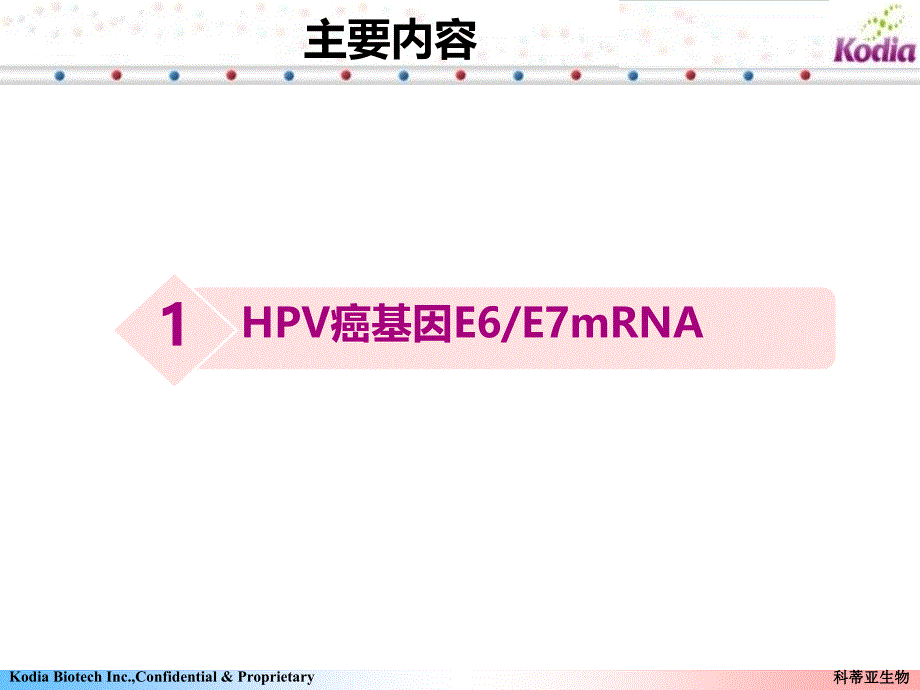 宫颈癌基因E6E7mRNA南阳讲课_第3页