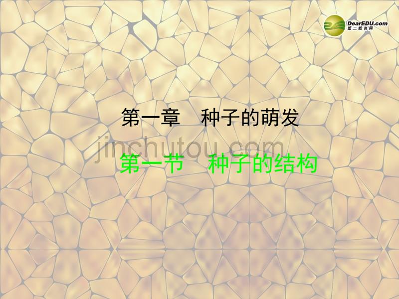 重庆市万州区塘坊初级中学七年级生物上册 第六章 绿色开花植物的生活史 6-1 种子的结构课件 北师大版_第2页