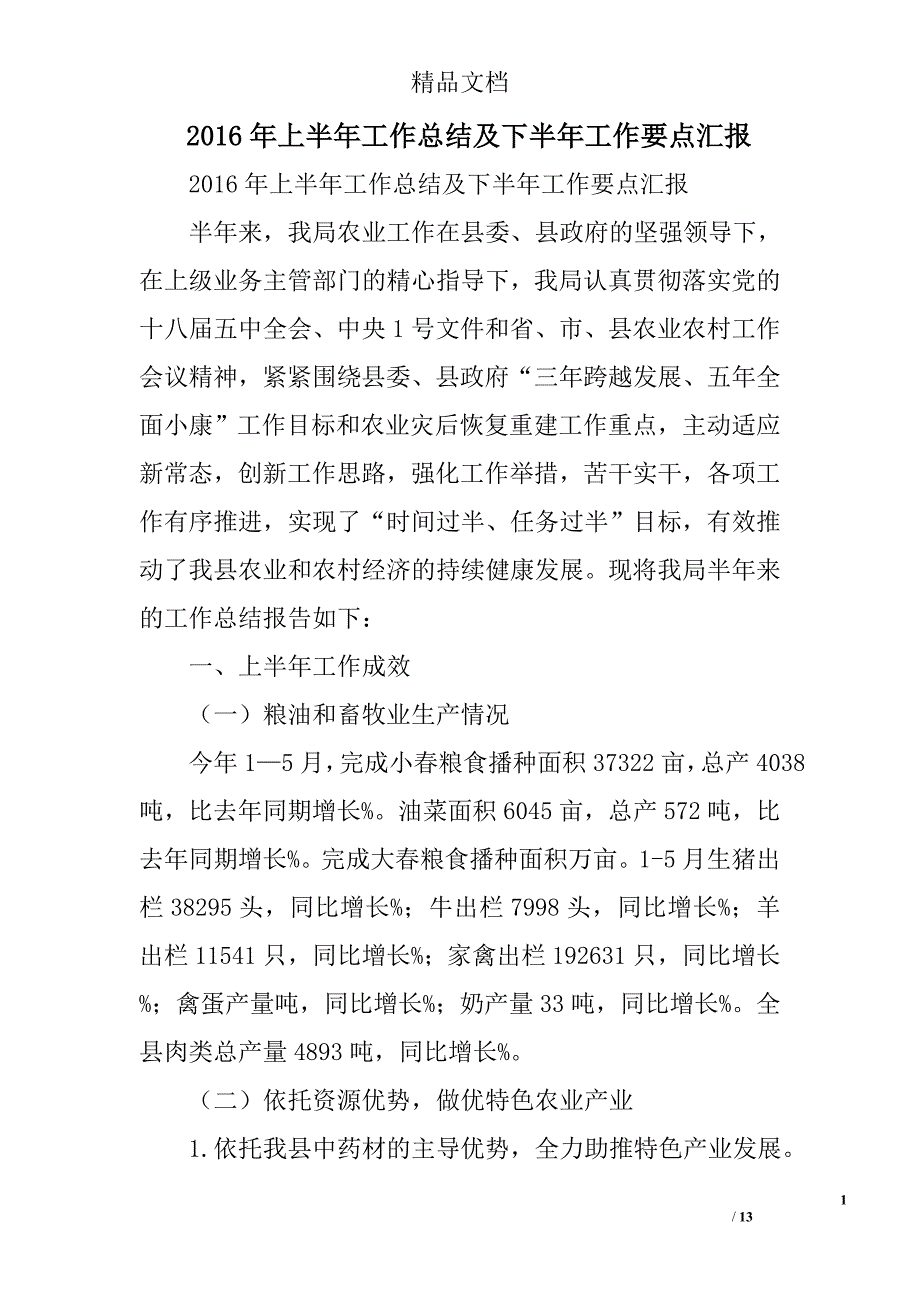 2016年上半年工作总结及下半年工作要点汇报_第1页