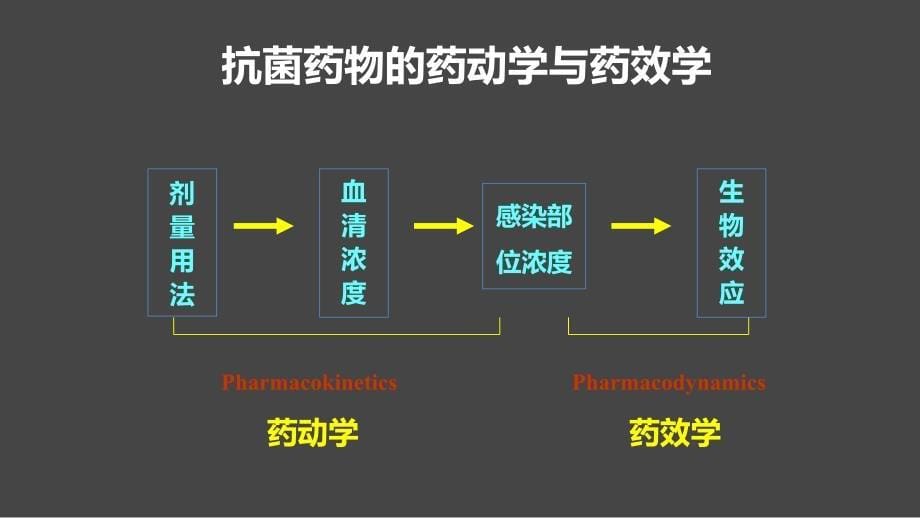 抗菌药物的PKPD及临床应用cpp20160804_第5页