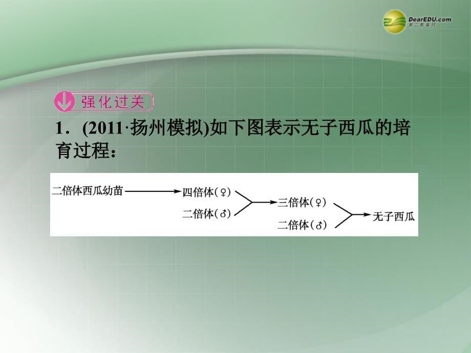 高一生物下学期 5 基因突变及其他变异 章末高效整合课件 新人教版 _第5页