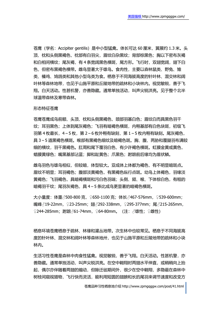 苍鹰品种习性栖息地介绍_第1页