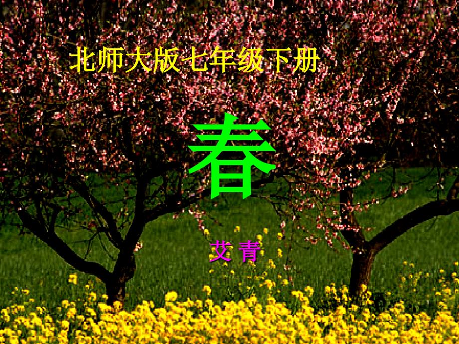 甘肃省酒泉市瓜州县第二中学七年级语文下册 第二单元 第七课艾青《春》课件 北师大版_第1页