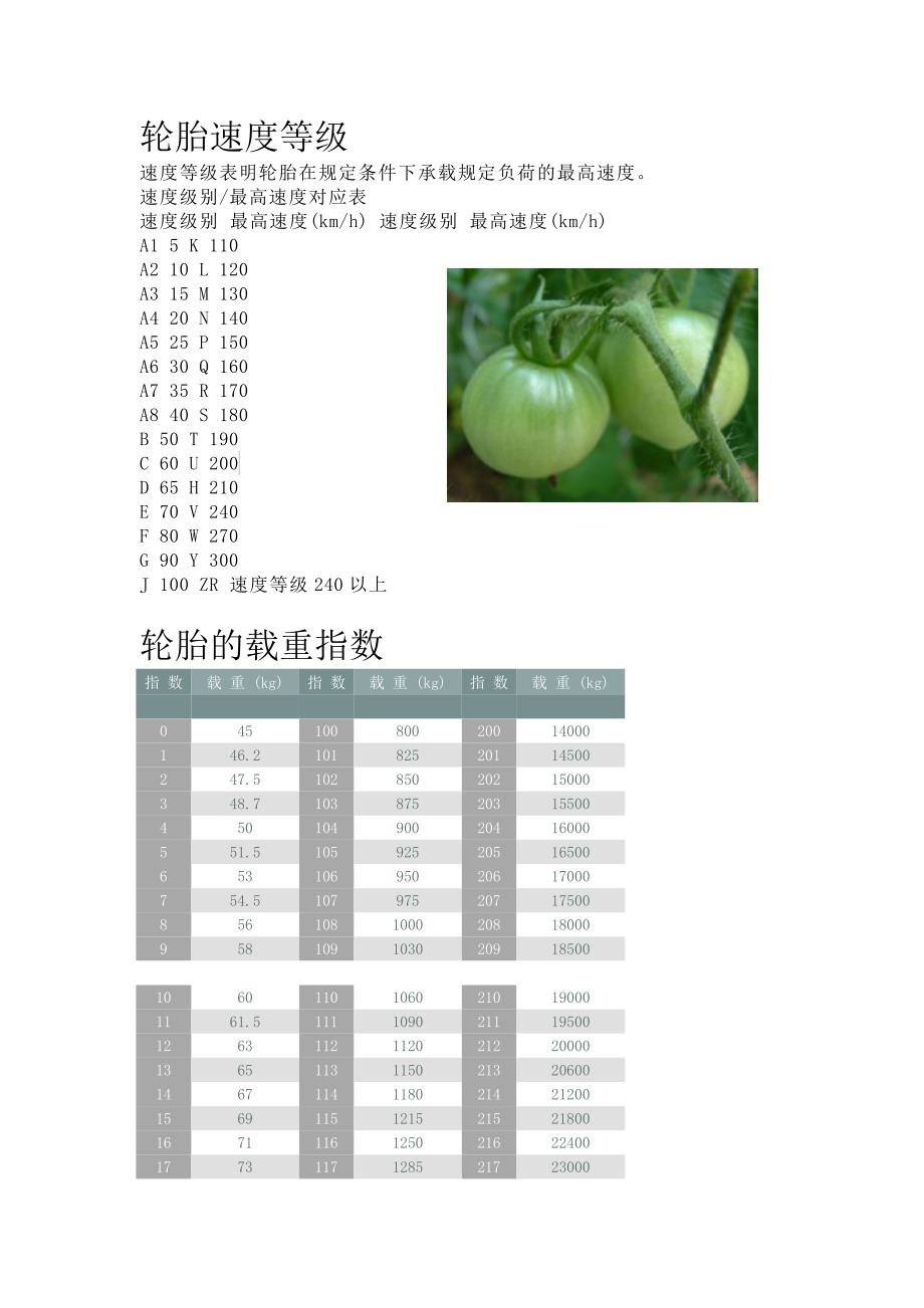 轮胎速度等级与轮胎的载重指数_第1页