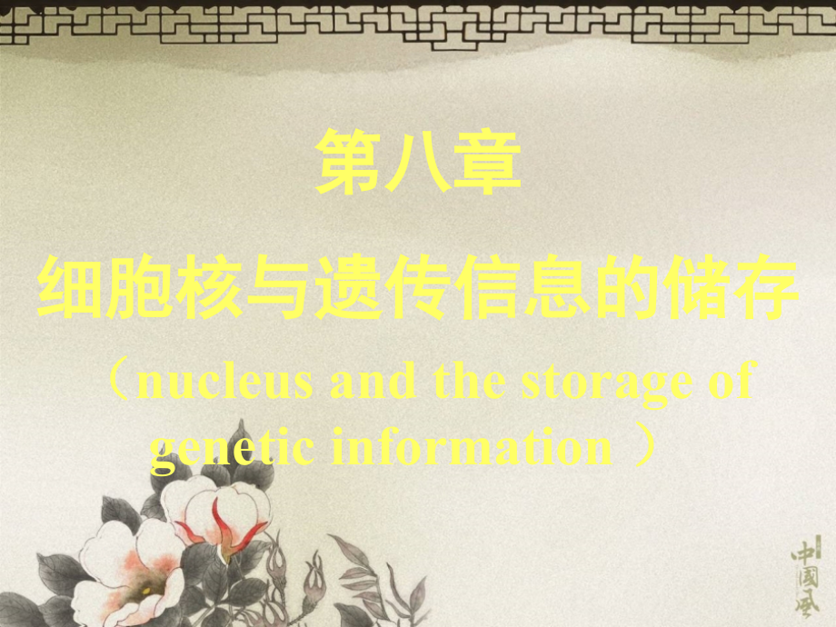 细胞核与遗传信息的储存_第1页