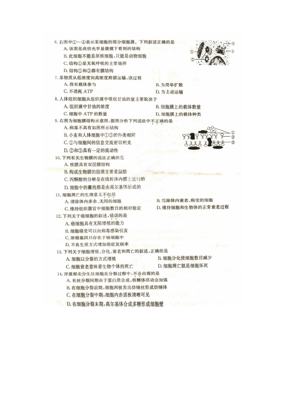 河南省信阳市2013-2014学年高一生物上学期期末考试试题（扫描版）新人教版_第2页