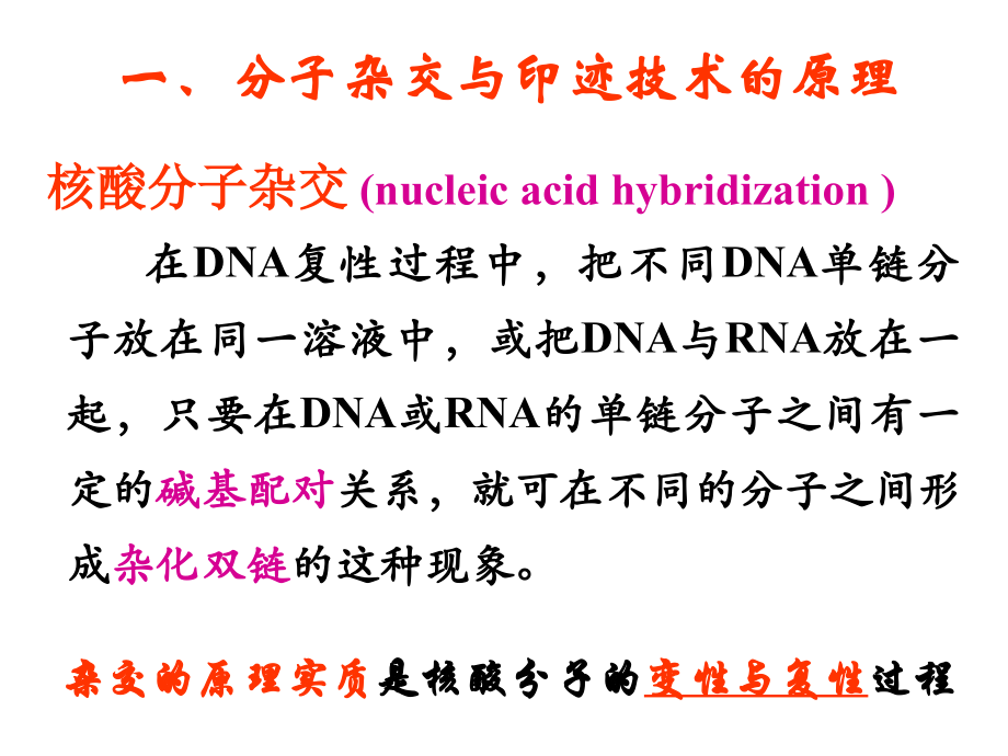 常用分子生物学技术的原理及应用STZ_第3页