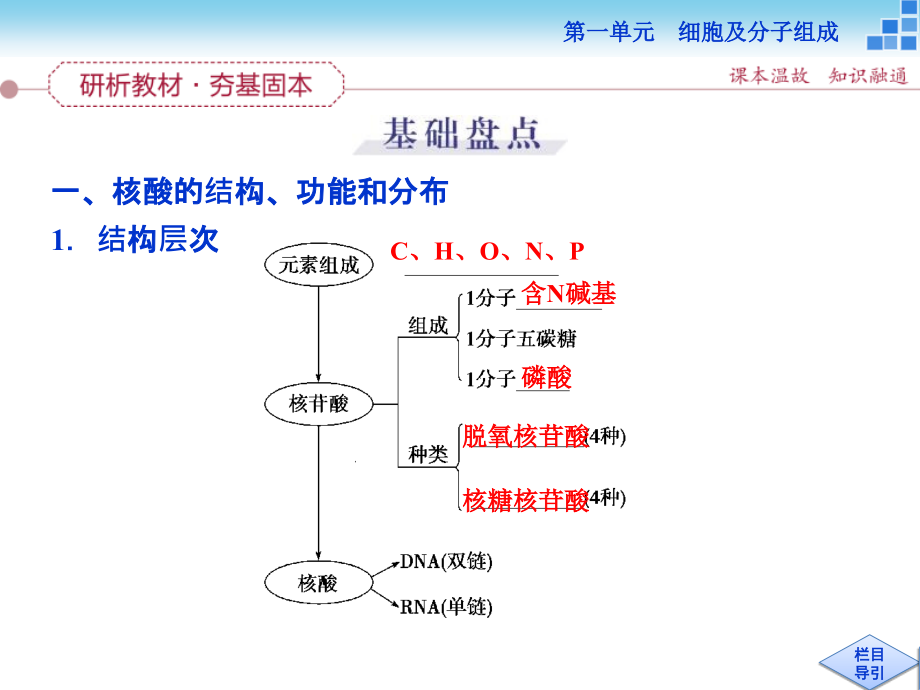 高三生物一轮复习课件遗传信息的携带者——核酸_第3页