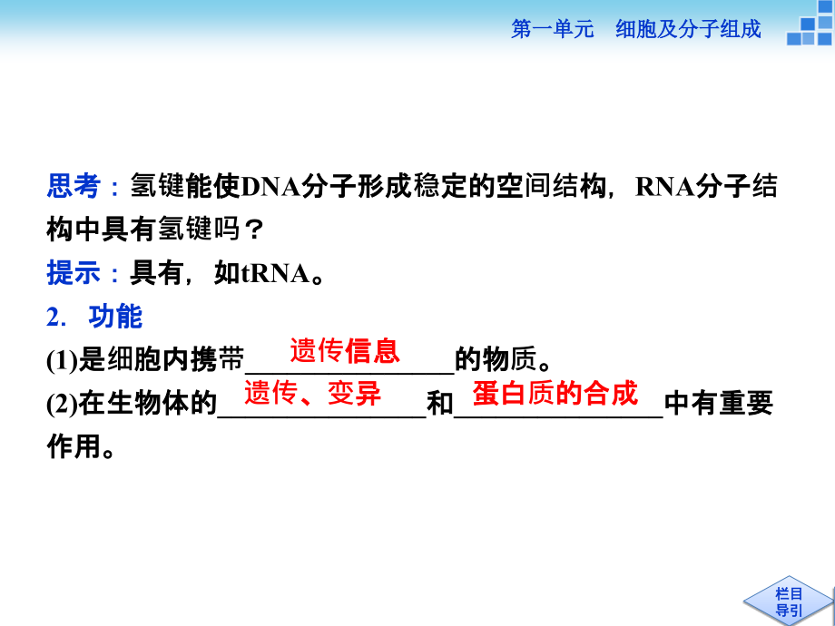 高三生物一轮复习课件遗传信息的携带者——核酸_第4页