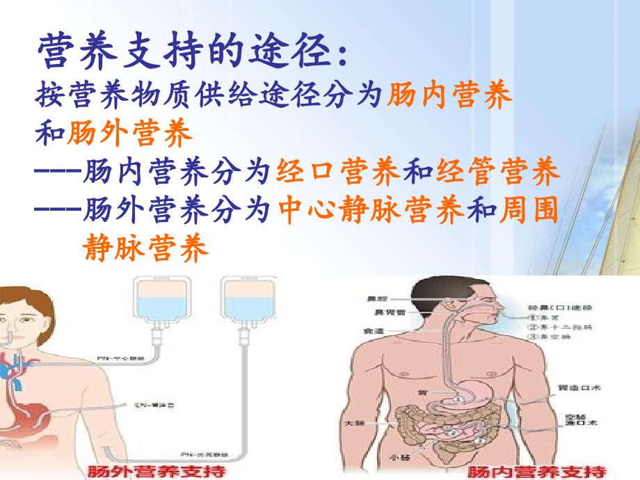 肠内外营养在消化道疾病中的应用_第2页