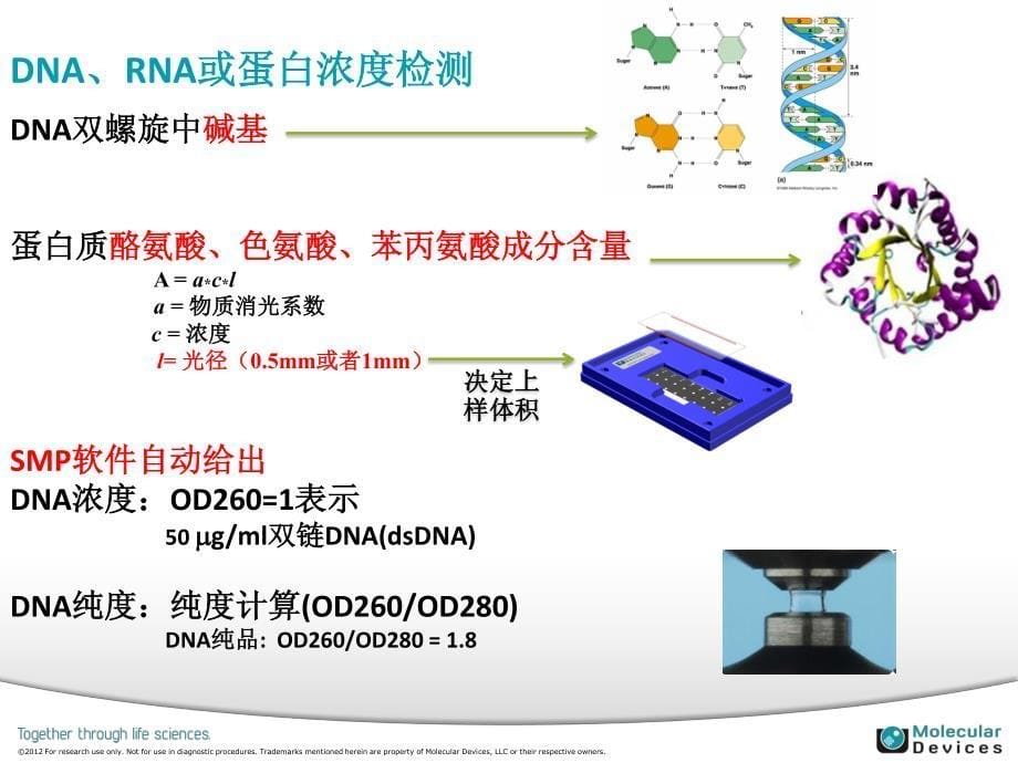 如何使用spectramax 微孔读板机进行快速定量检测dna和rna_第5页