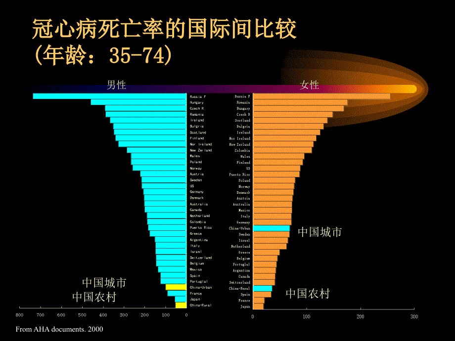 金州健康学校_第4页