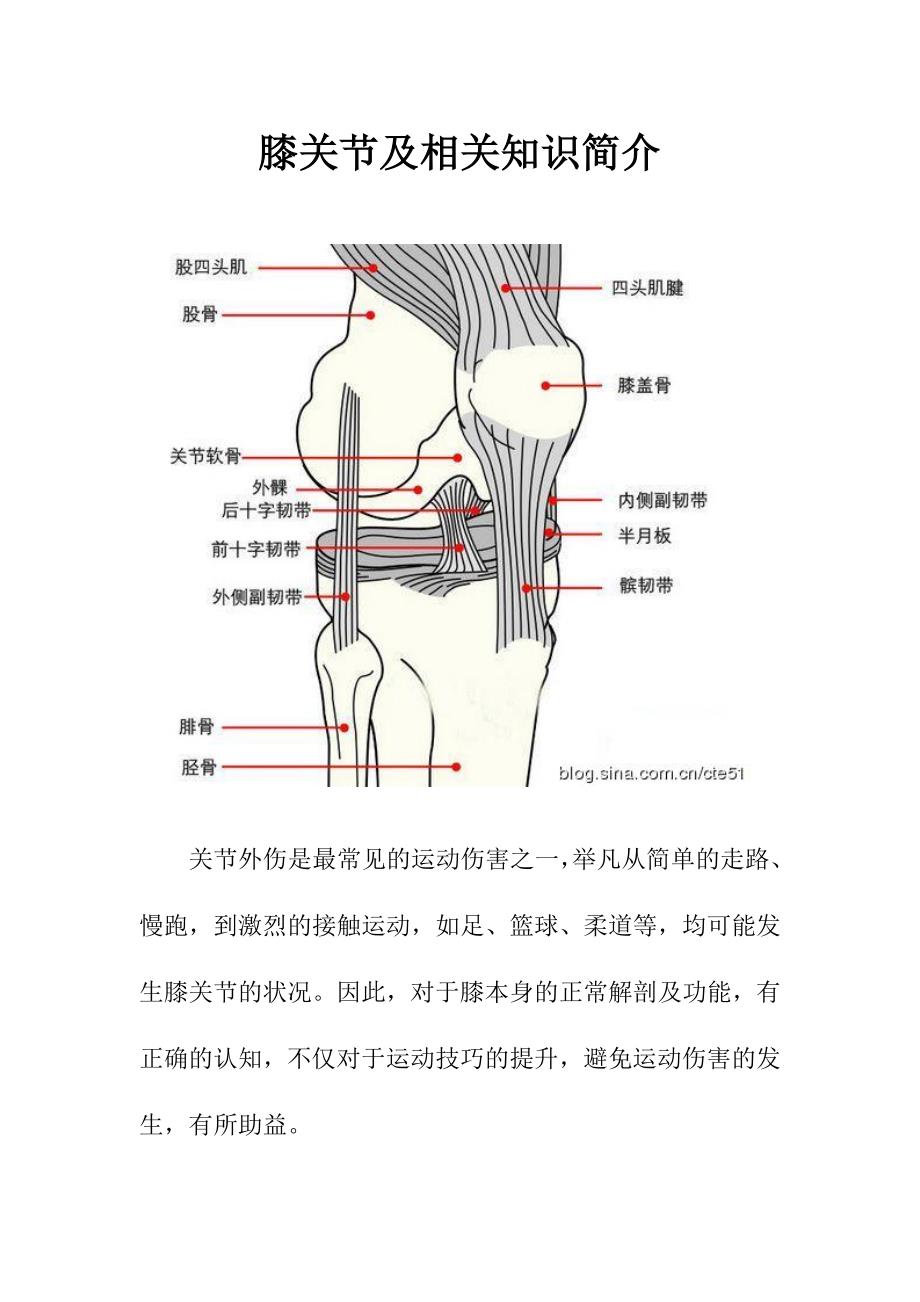 膝关节及相关知识简介_第1页