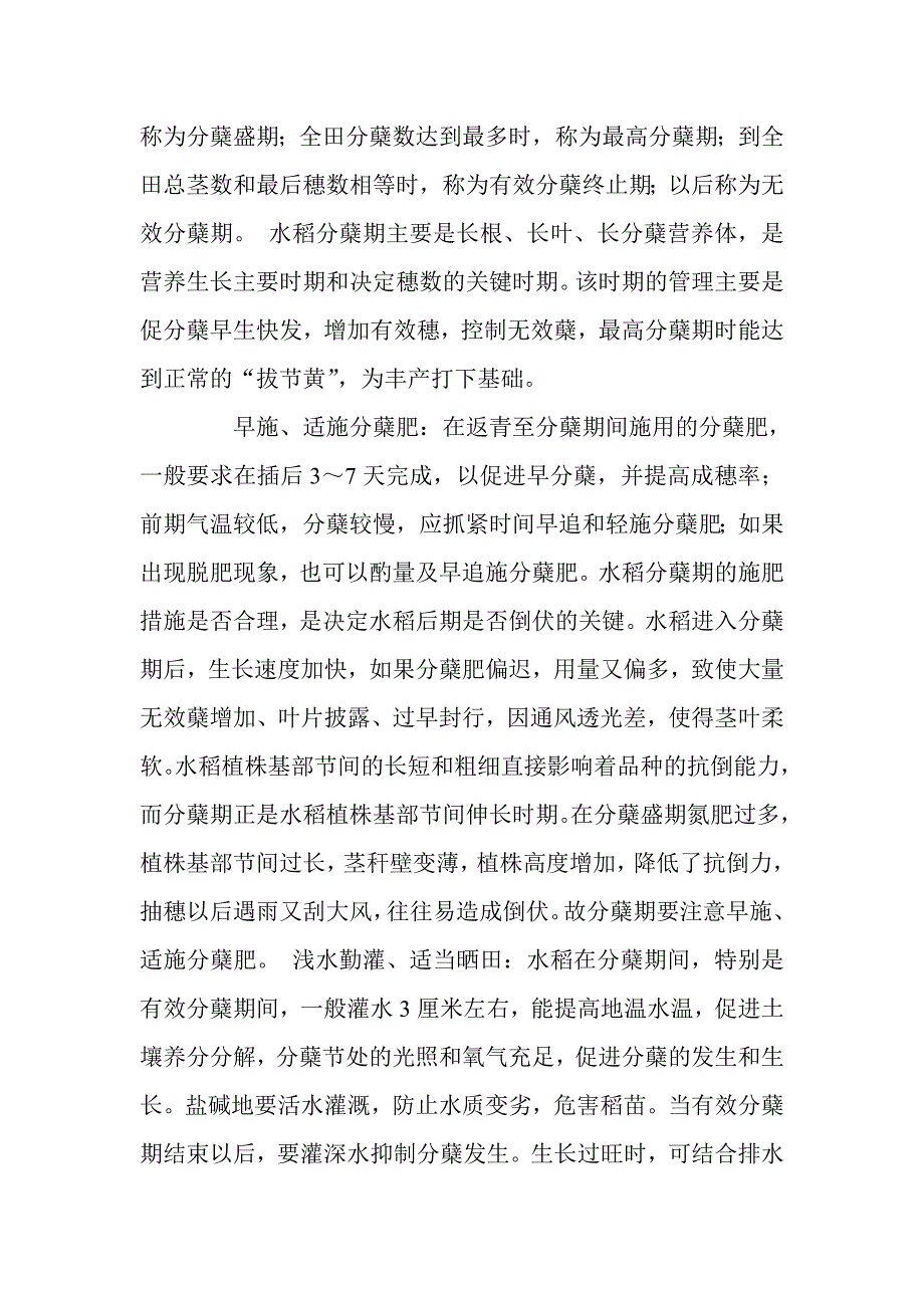 水稻分蘖与有效穗的关系_第3页