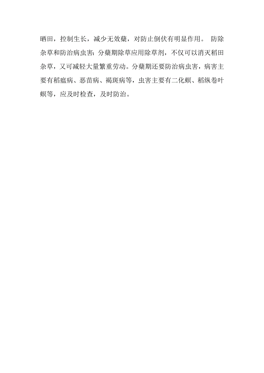 水稻分蘖与有效穗的关系_第4页