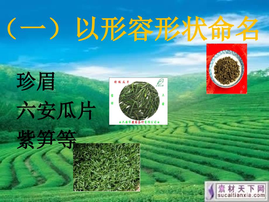 tea7茶叶品类一_第4页