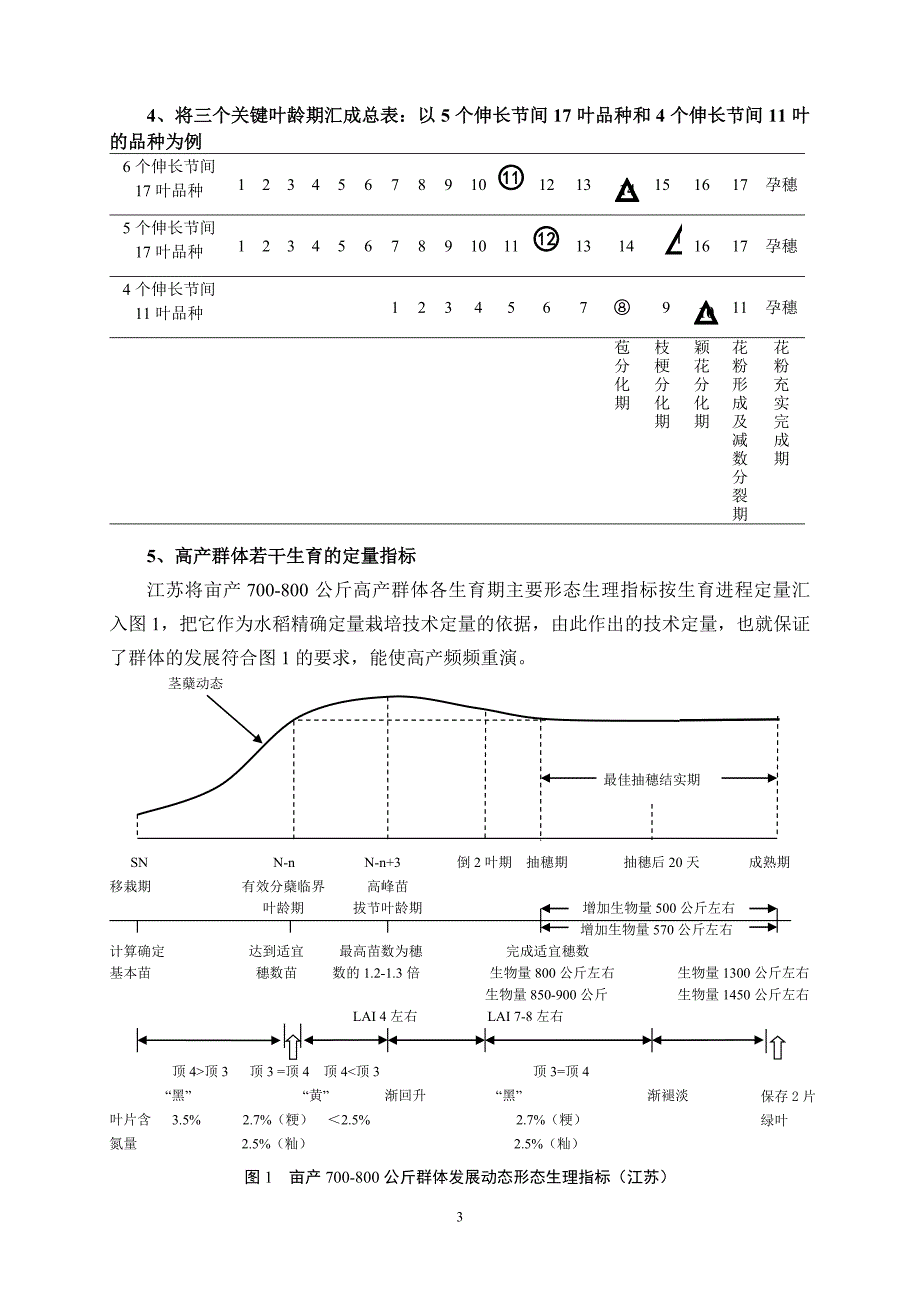 水稻精确定量栽培技术要点(凌启鸿杭州090518)。doc_第3页