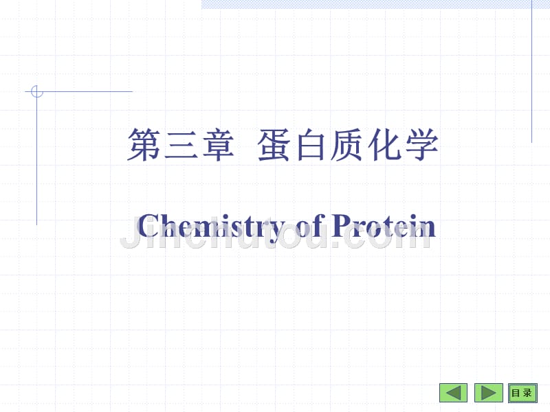 蛋白质化学-2015_第1页