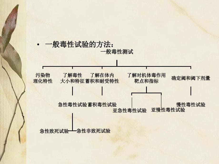 食品中化学物质的一般毒性作用及评价_第5页