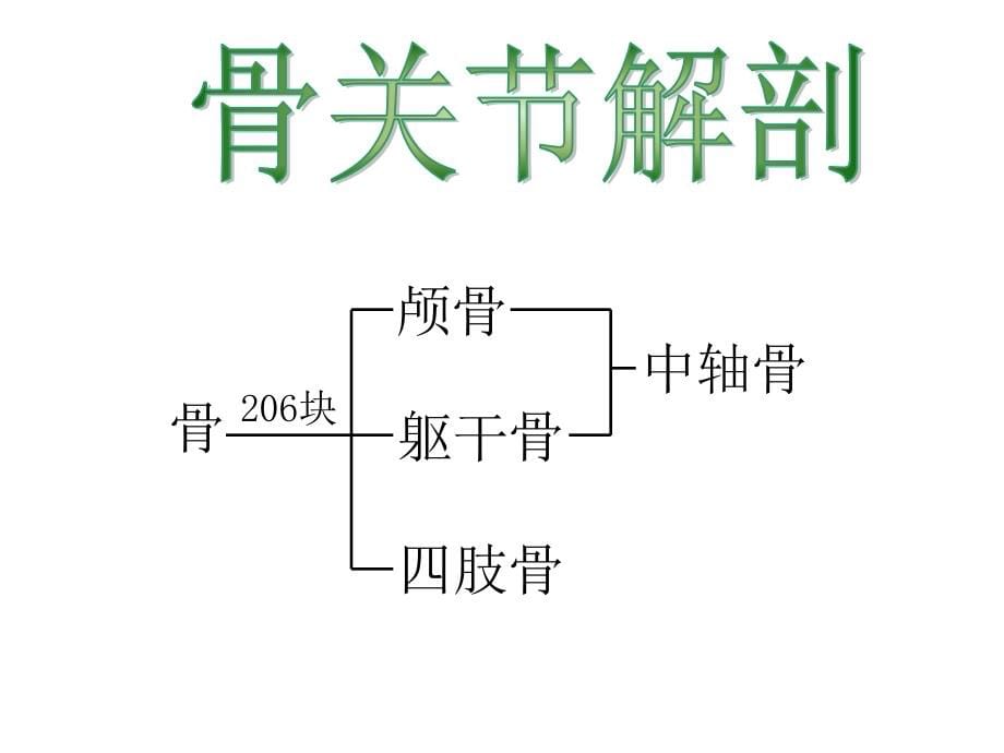 骨与关节损伤病人的护理_第5页